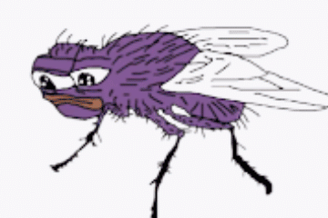 Mouch — the purple fly